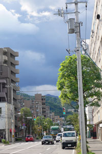 a0046429_23522024.jpg