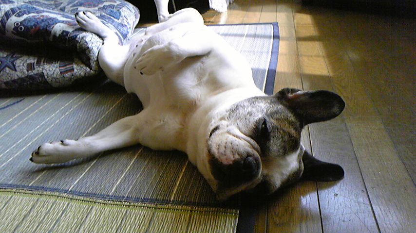 e0008833_1217430.jpg