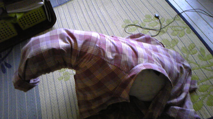 e0008833_1217495.jpg