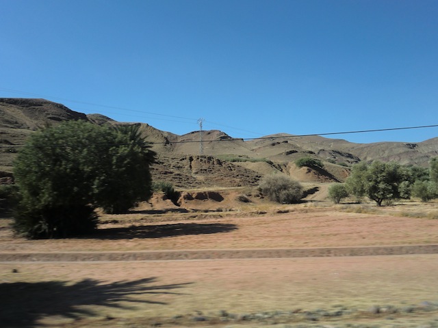 c0170236_22523068.jpg