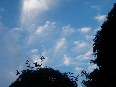 a0054240_2156235.jpg