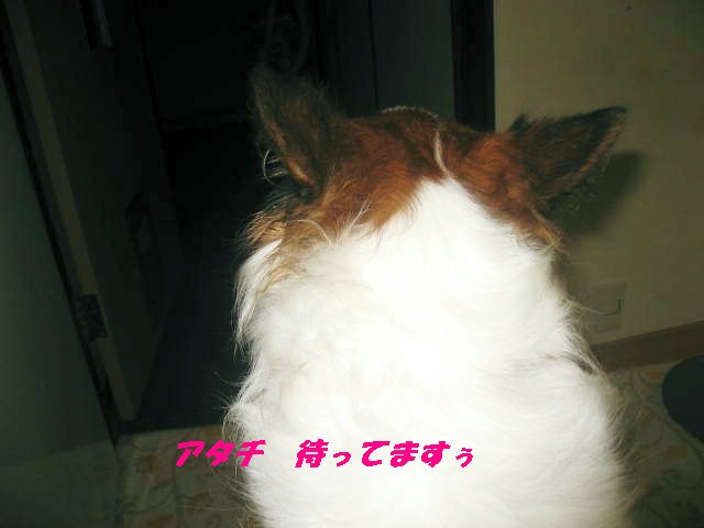 a0149240_7564326.jpg