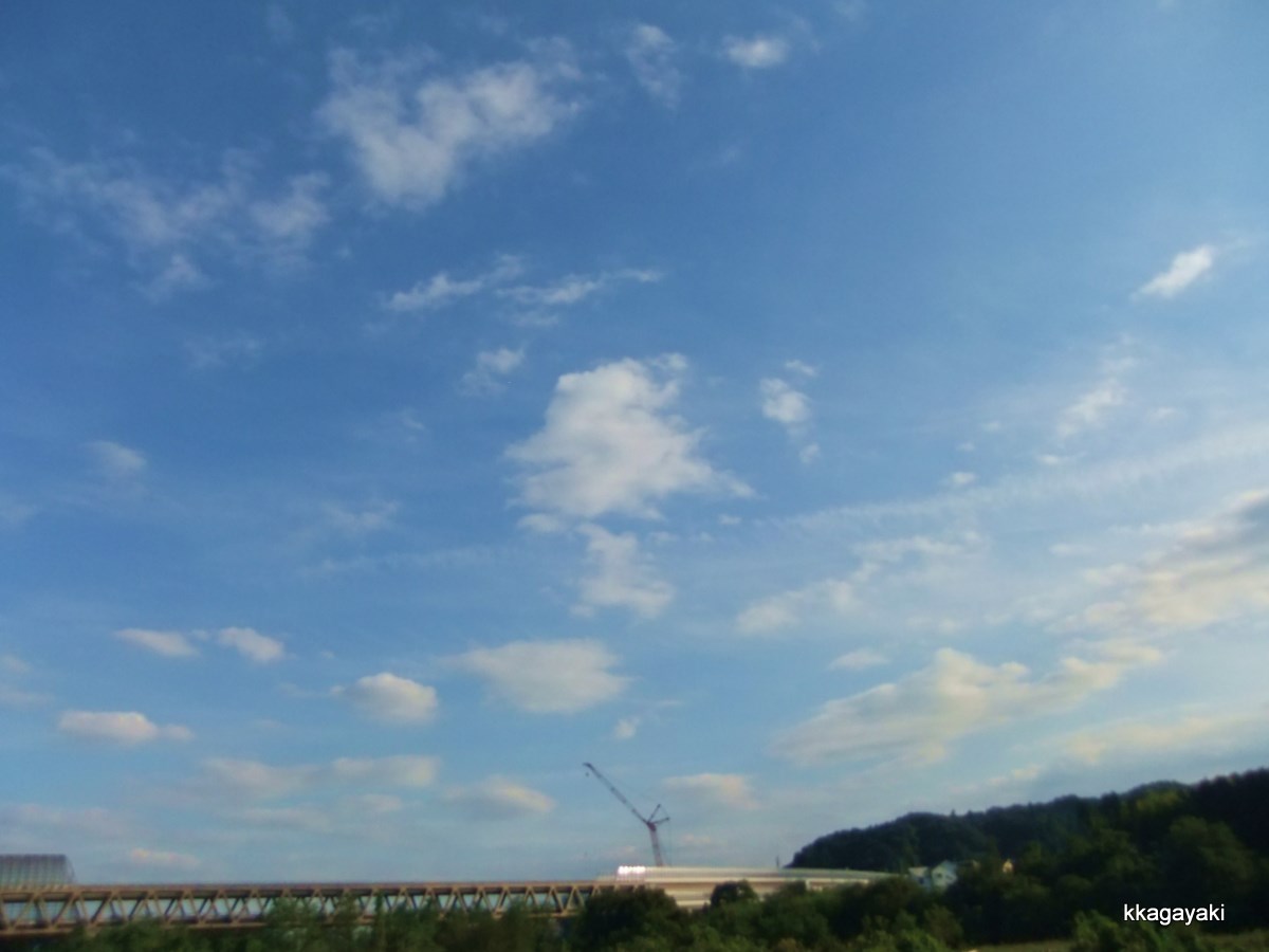e0206242_6124825.jpg
