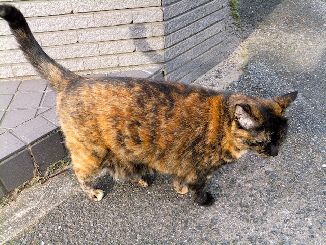 f0213347_15951.jpg
