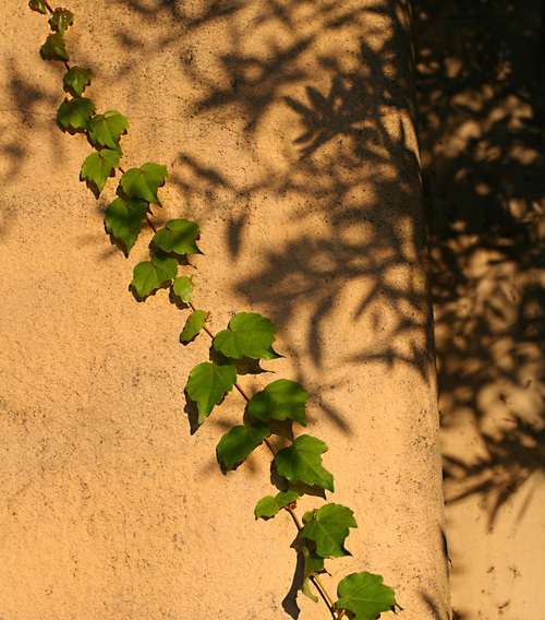 e0086148_4171560.jpg