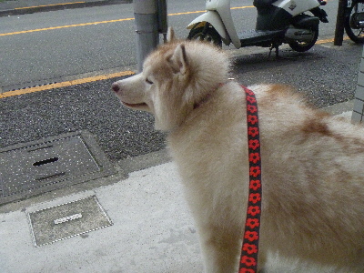 e0121548_20523672.jpg