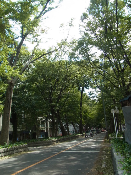 e0183648_19345413.jpg