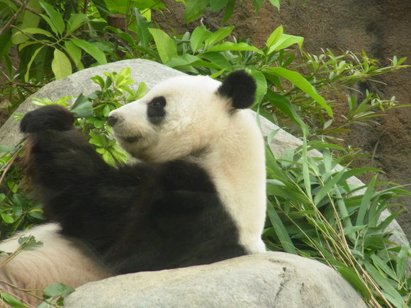 a0169150_22493497.jpg