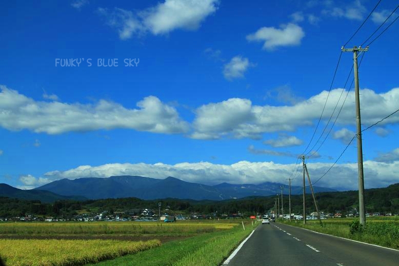 c0145250_1137164.jpg