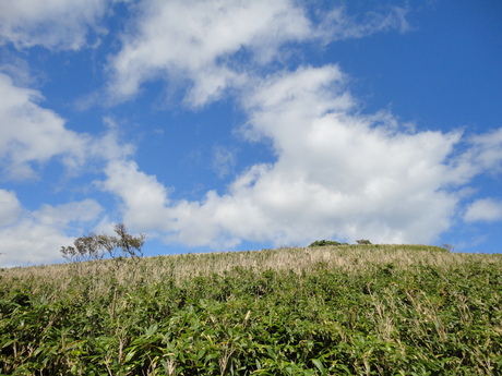b0210754_2153896.jpg