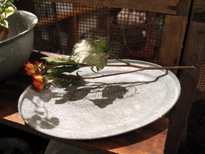 d0149257_1865970.jpg