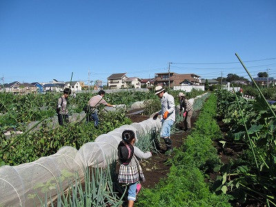 c0127058_9492643.jpg