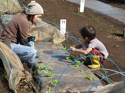 c0127058_953324.jpg