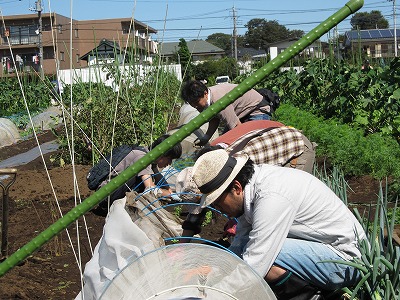 c0127058_9562948.jpg