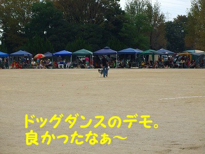 a0104162_16334347.jpg
