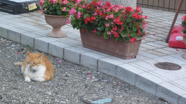 e0214662_12173777.jpg