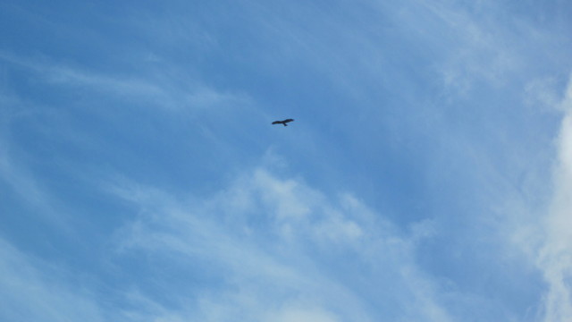 e0214662_12201497.jpg