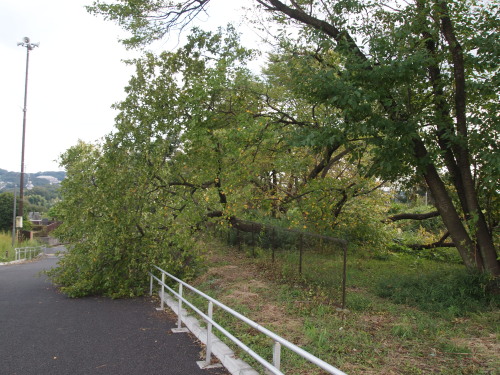c0122670_0205081.jpg