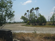 b0200971_21382227.jpg