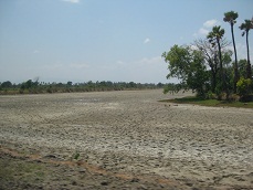 b0200971_2140277.jpg