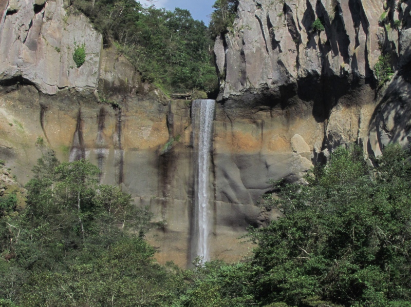 c0183777_1149227.jpg