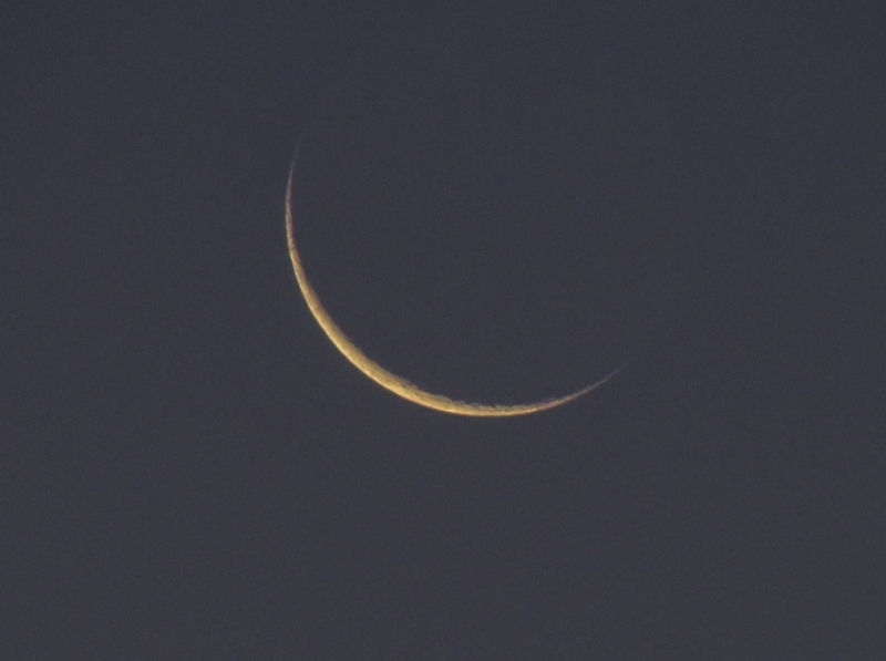 c0183777_6289.jpg