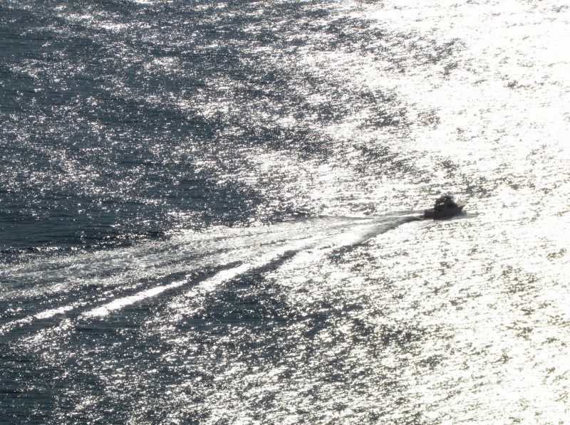 c0183777_7413411.jpg