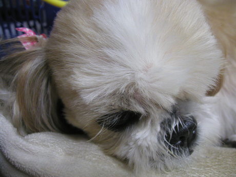 b0089380_15413651.jpg