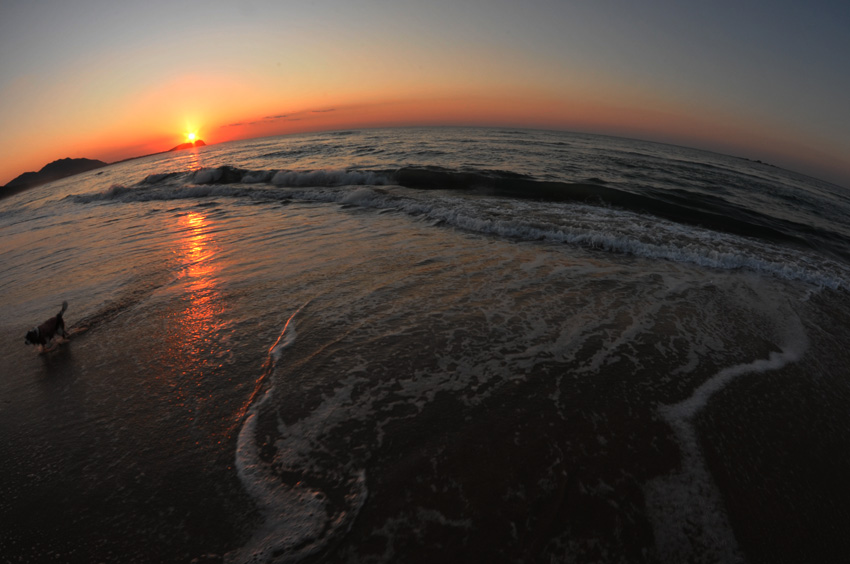 f0112087_21282965.jpg