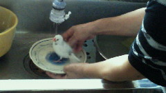 e0175288_10593090.jpg