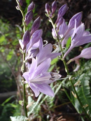 c0018489_01099.jpg