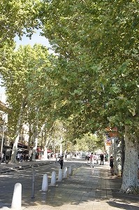 e0206490_22335927.jpg