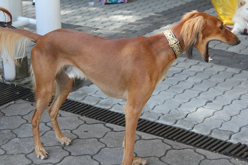a0234491_21323280.jpg