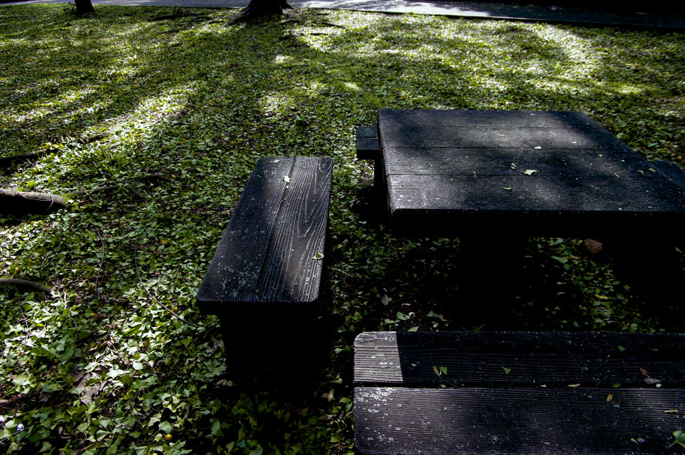 e0216492_2413075.jpg