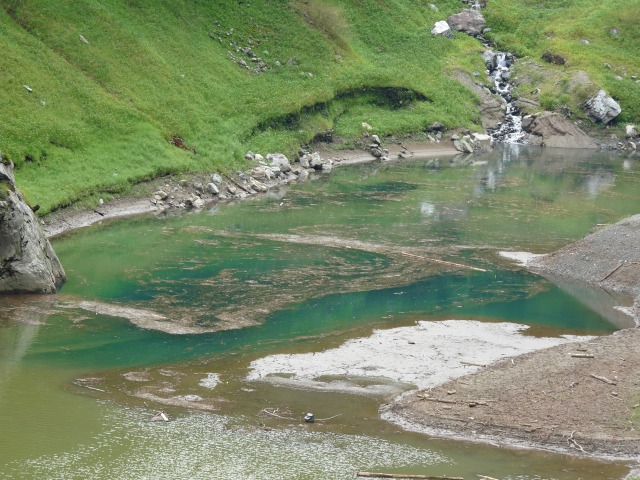 e0202393_863139.jpg