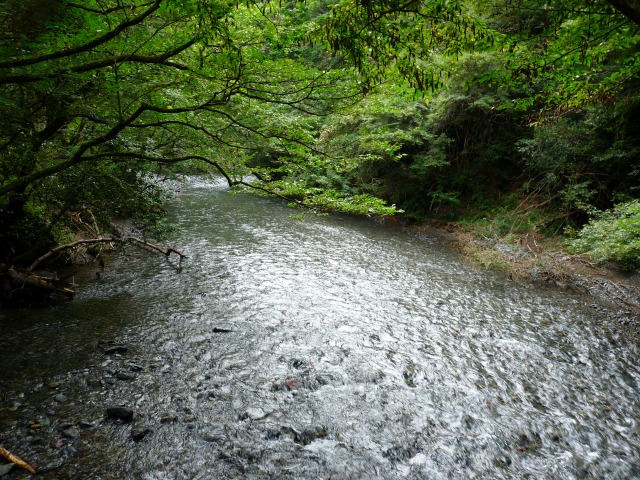 e0202393_865570.jpg