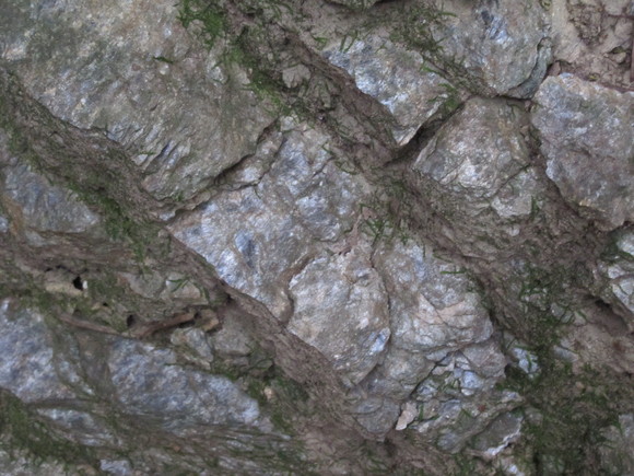 a0166196_20565292.jpg
