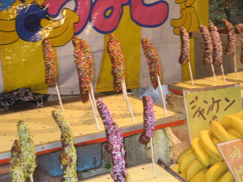 d0157596_1737435.jpg