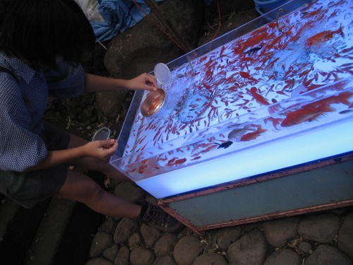 d0157596_1739562.jpg