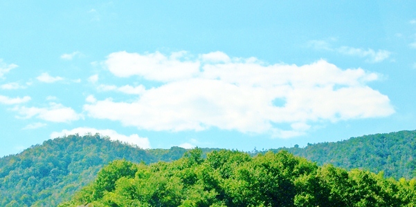 c0173697_22312056.jpg
