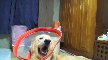 b0206300_17185753.jpg