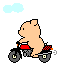 c0074000_2054813.gif