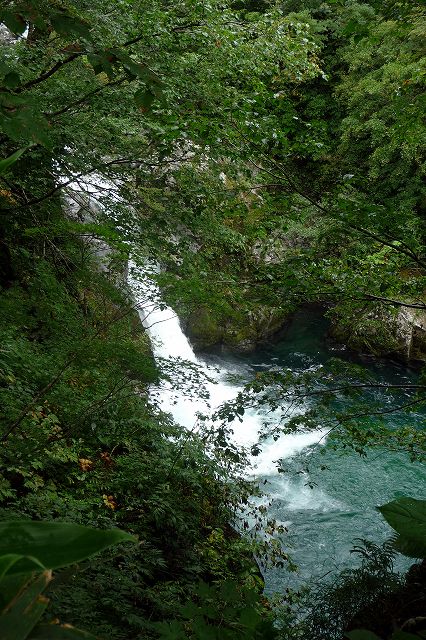 e0137200_22182863.jpg