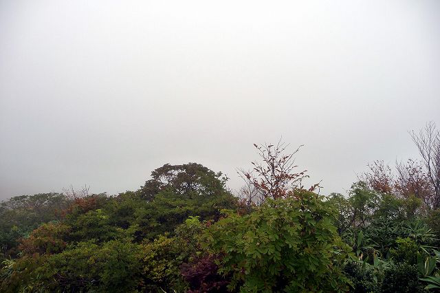 e0137200_22213322.jpg
