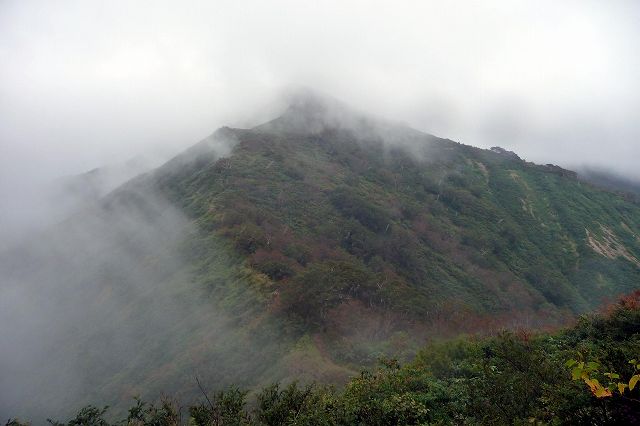 e0137200_2222195.jpg