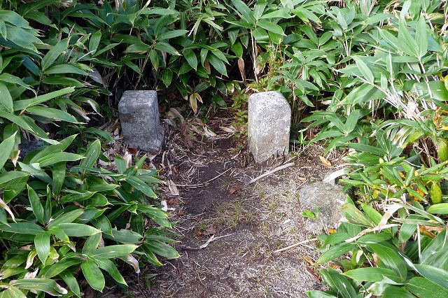 e0137200_22272585.jpg