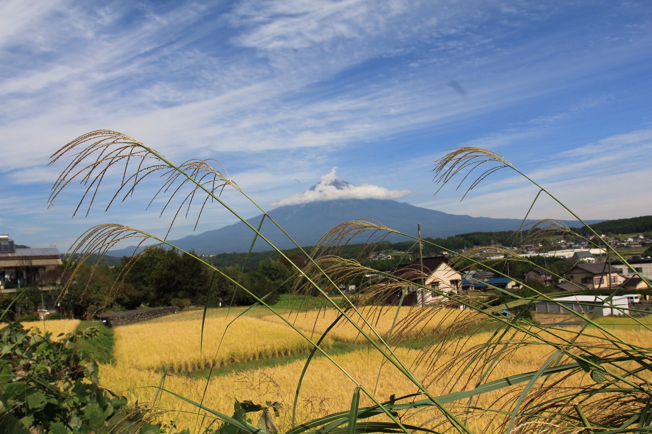 a0188405_22535249.jpg