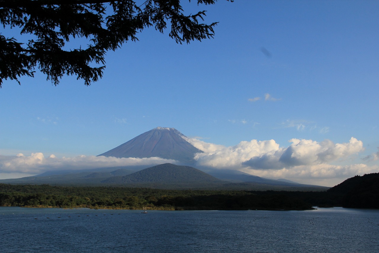 a0188405_23482070.jpg
