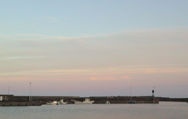 f0048405_13483748.jpg