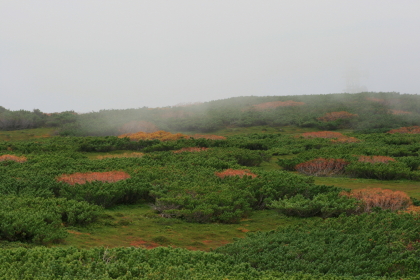 f0041606_012295.jpg